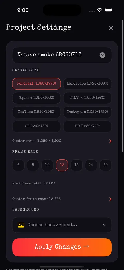 Project Settings with name, canvas size, frame rate, background and Apply Changes